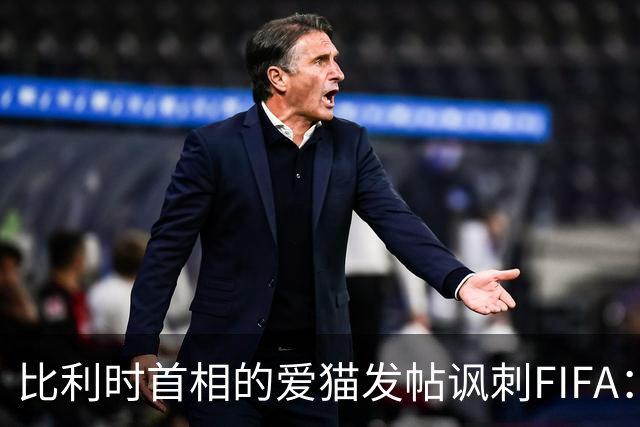 比利时首相的爱猫发帖讽刺FIFA：“红牌？”我照样继续踢！